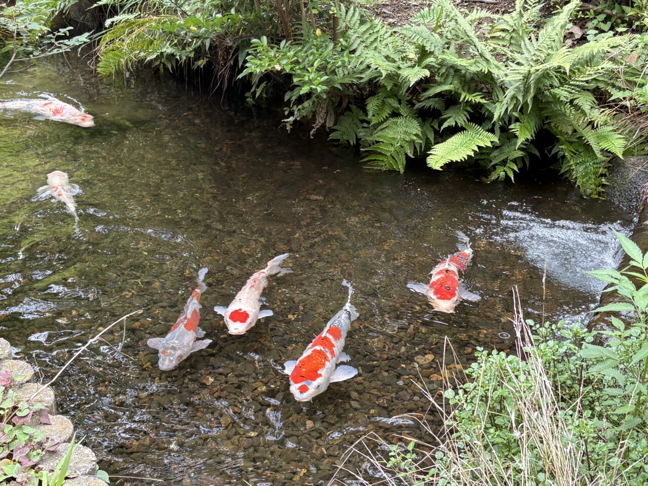 栗谷津東公園