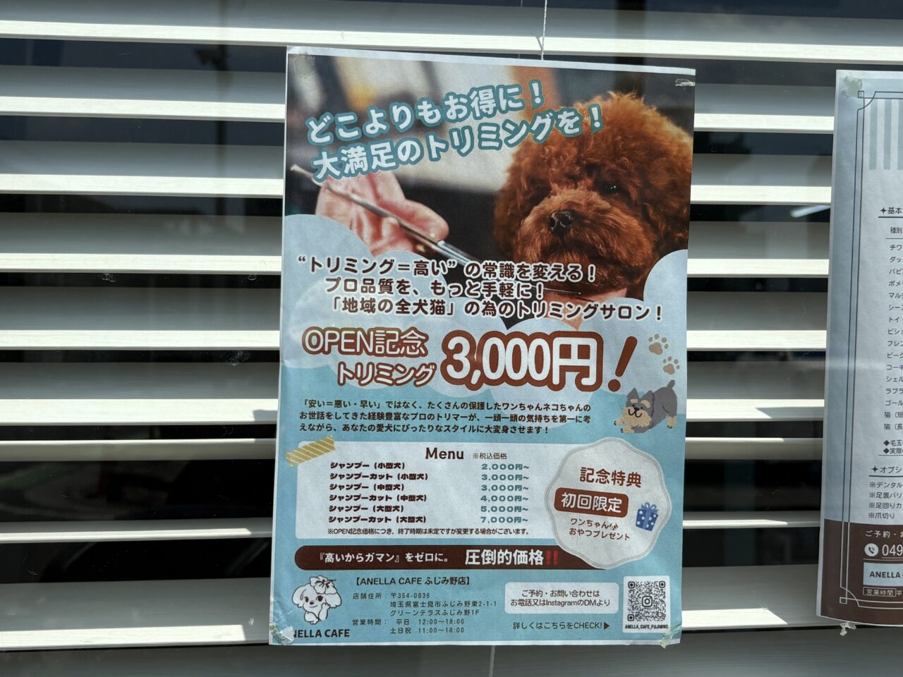 ANELLACAFE