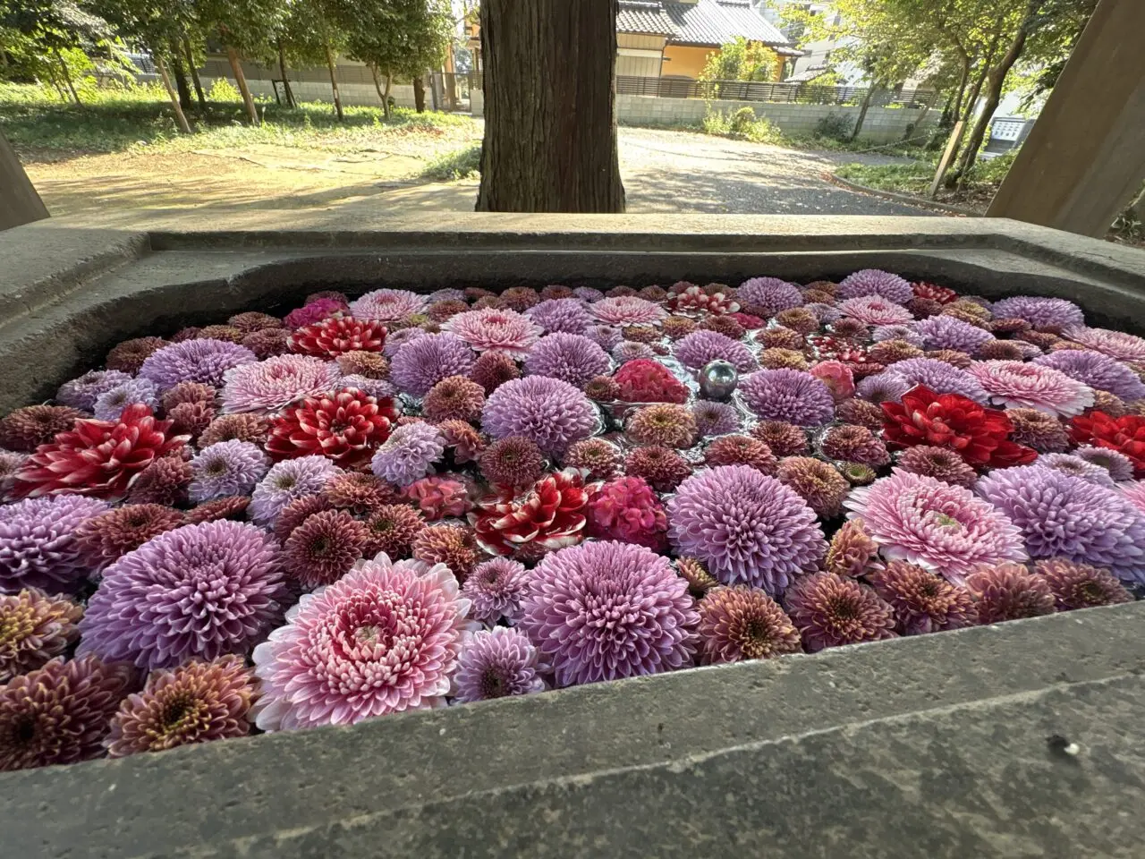 花手水