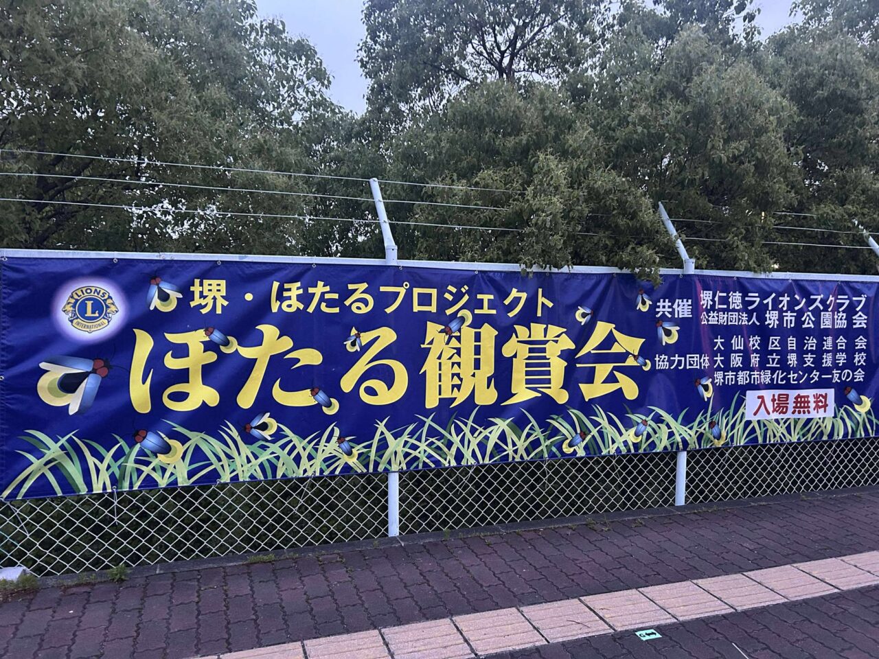 ほたる１