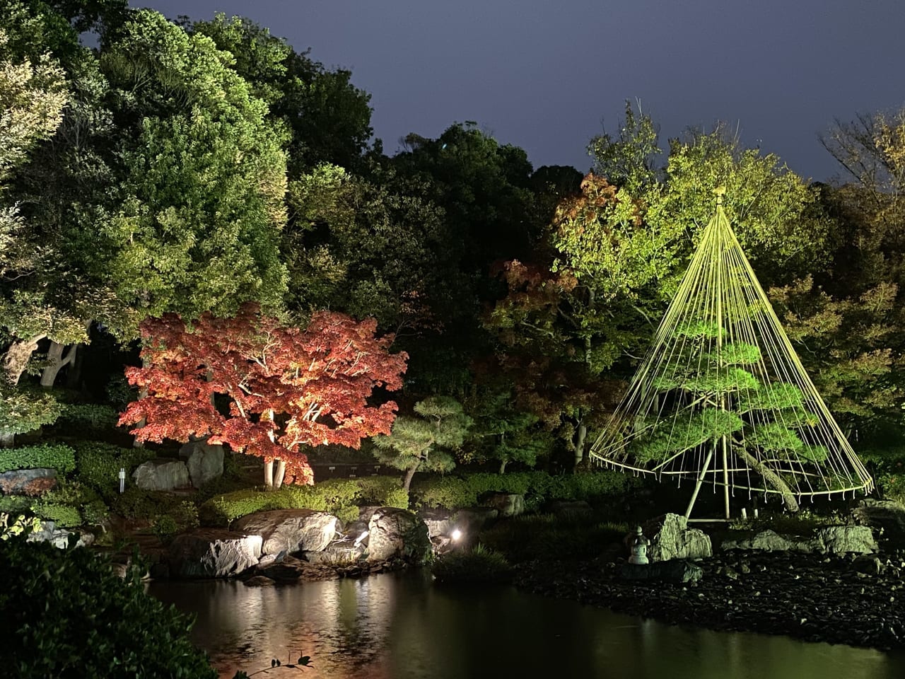 花畑公園桜花亭紅葉ライトアップ2021