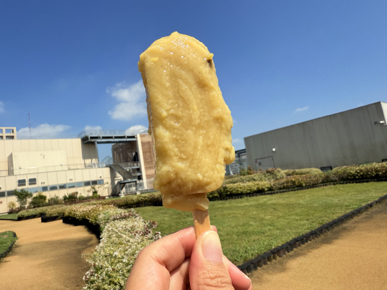 蜜芋千寿　焼き芋アイスバー