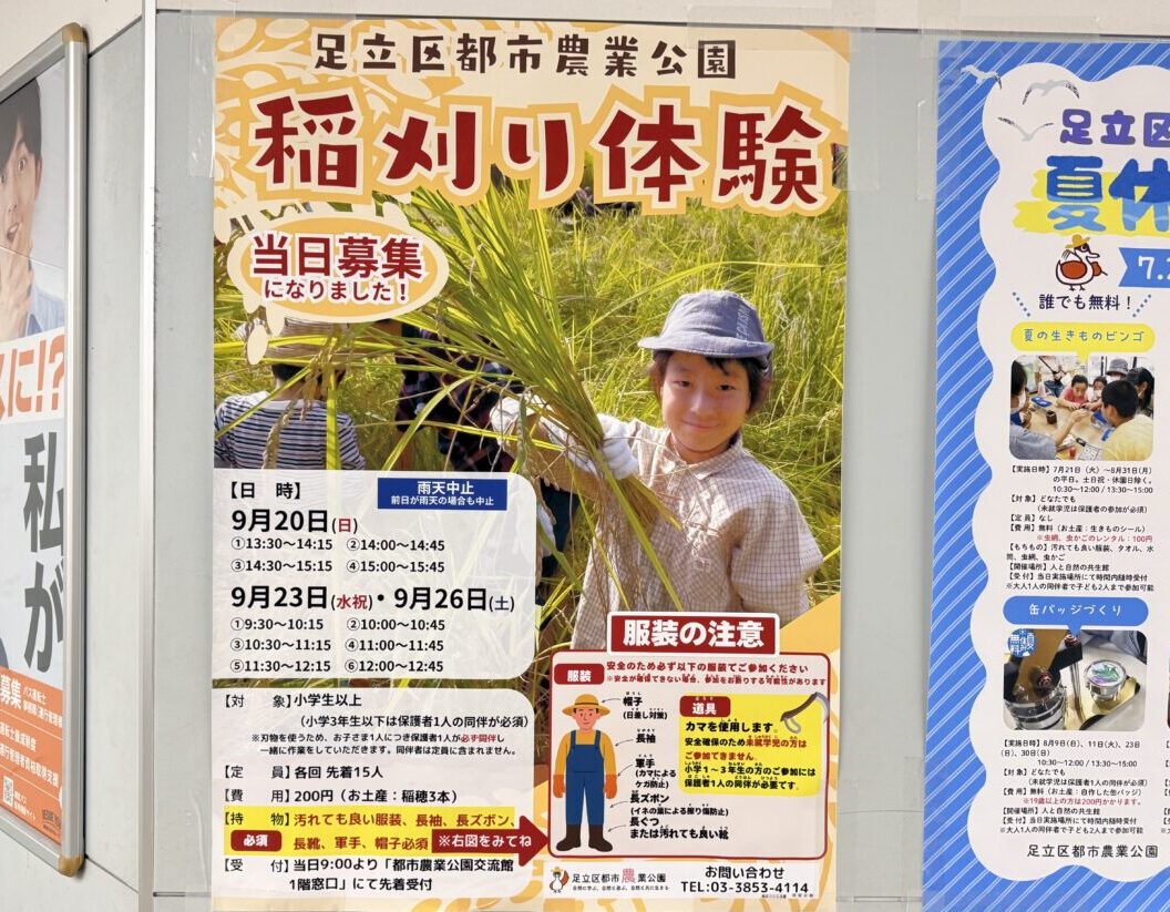 足立区都市農業公園の稲刈り体験