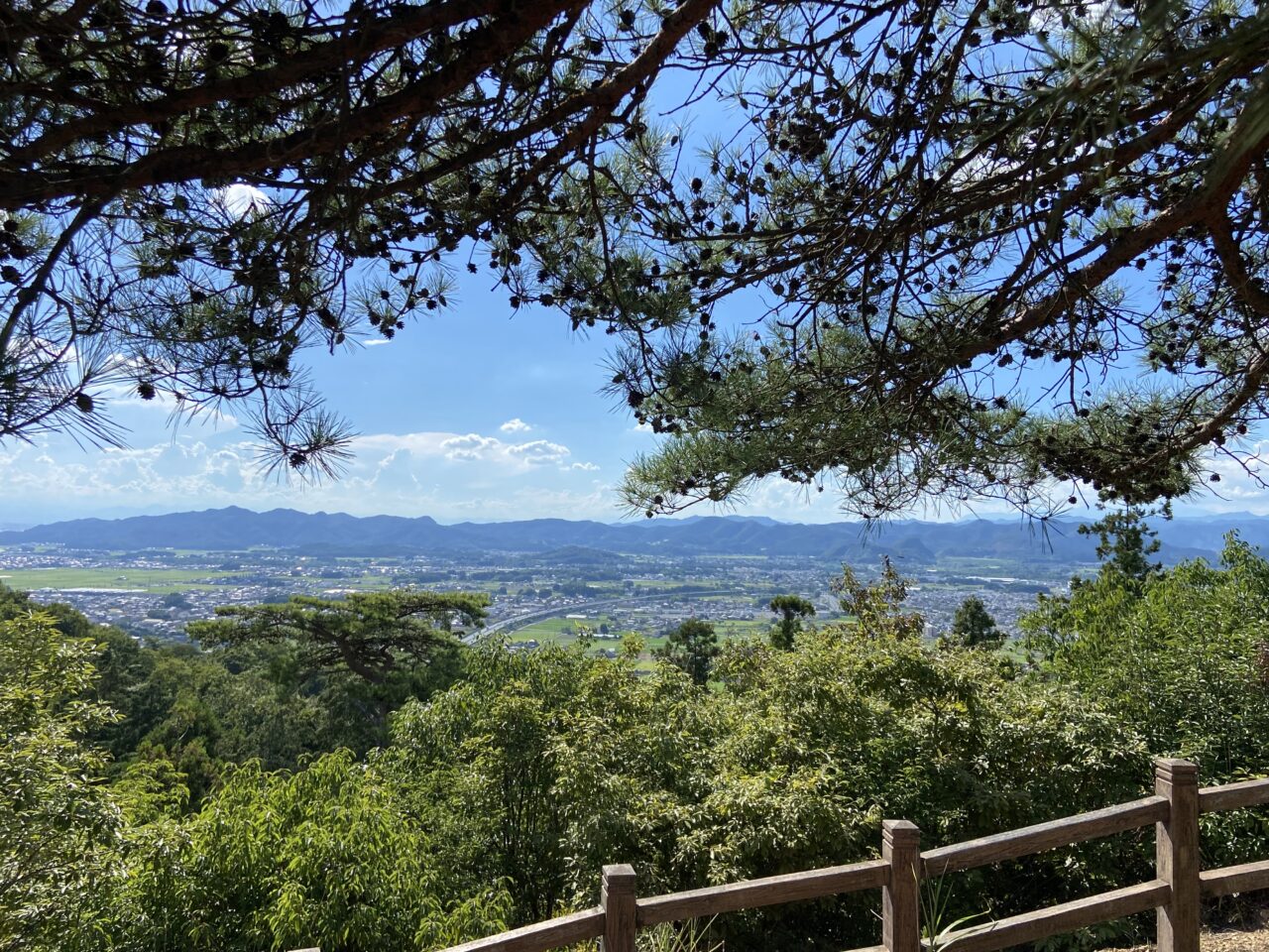 2025年10月27日佐野市のウォーキング