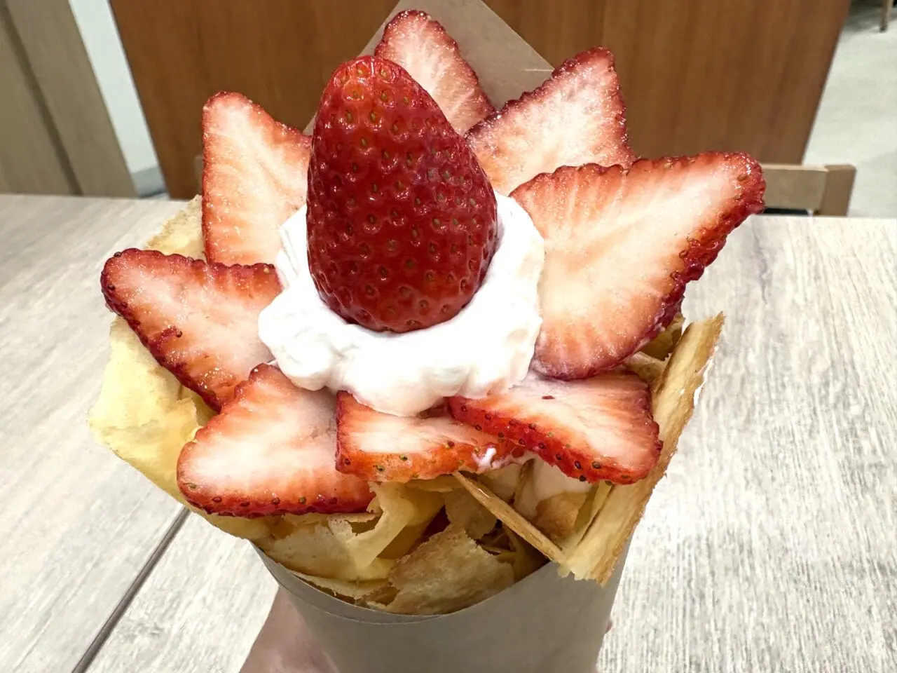 2026年2月14日佐野市のどまんなかたぬま