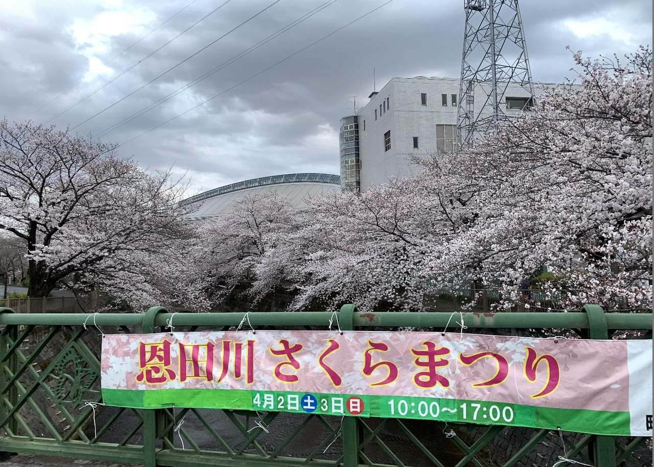 町田市 恩田川のさくら散策してきました 4月3日 日 まで 22町田さくらまつりウィーク ３年ぶりに開催へ 号外net 町田市