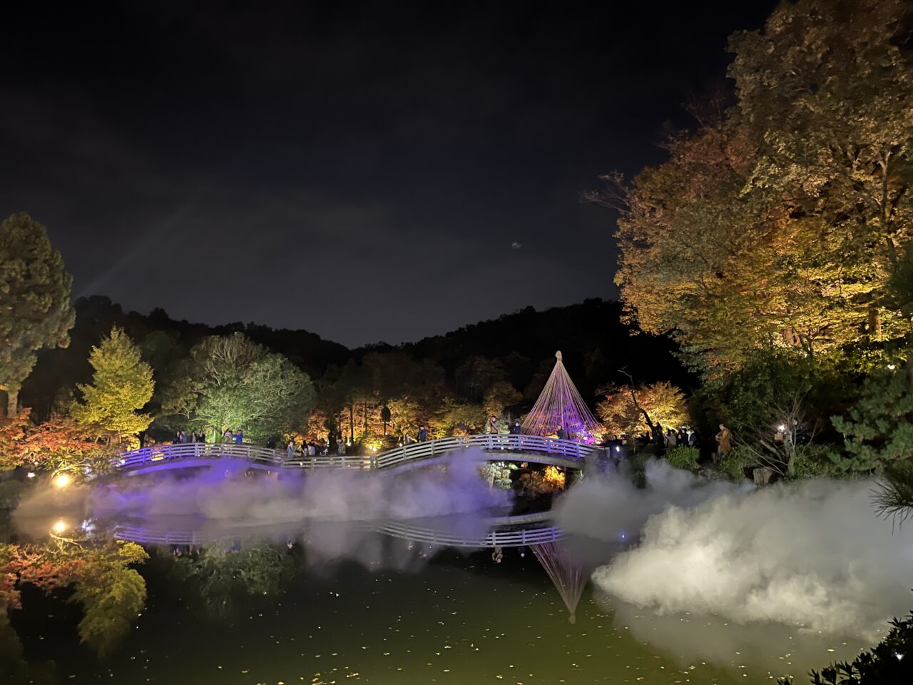 薬師池紅葉まつり　ライトアップ　雲海