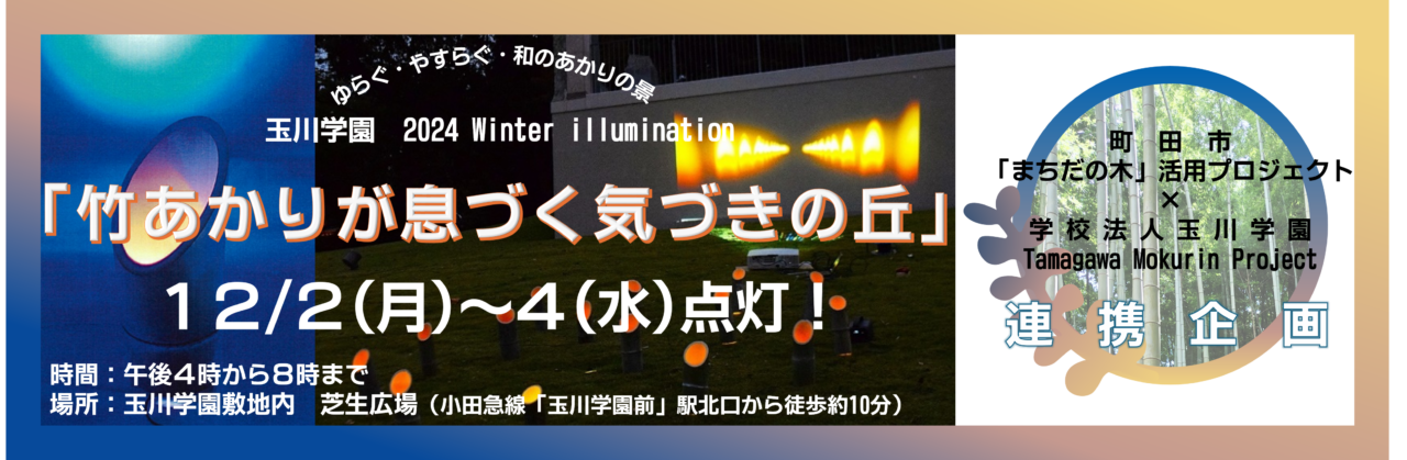 玉川学園イルミネーション