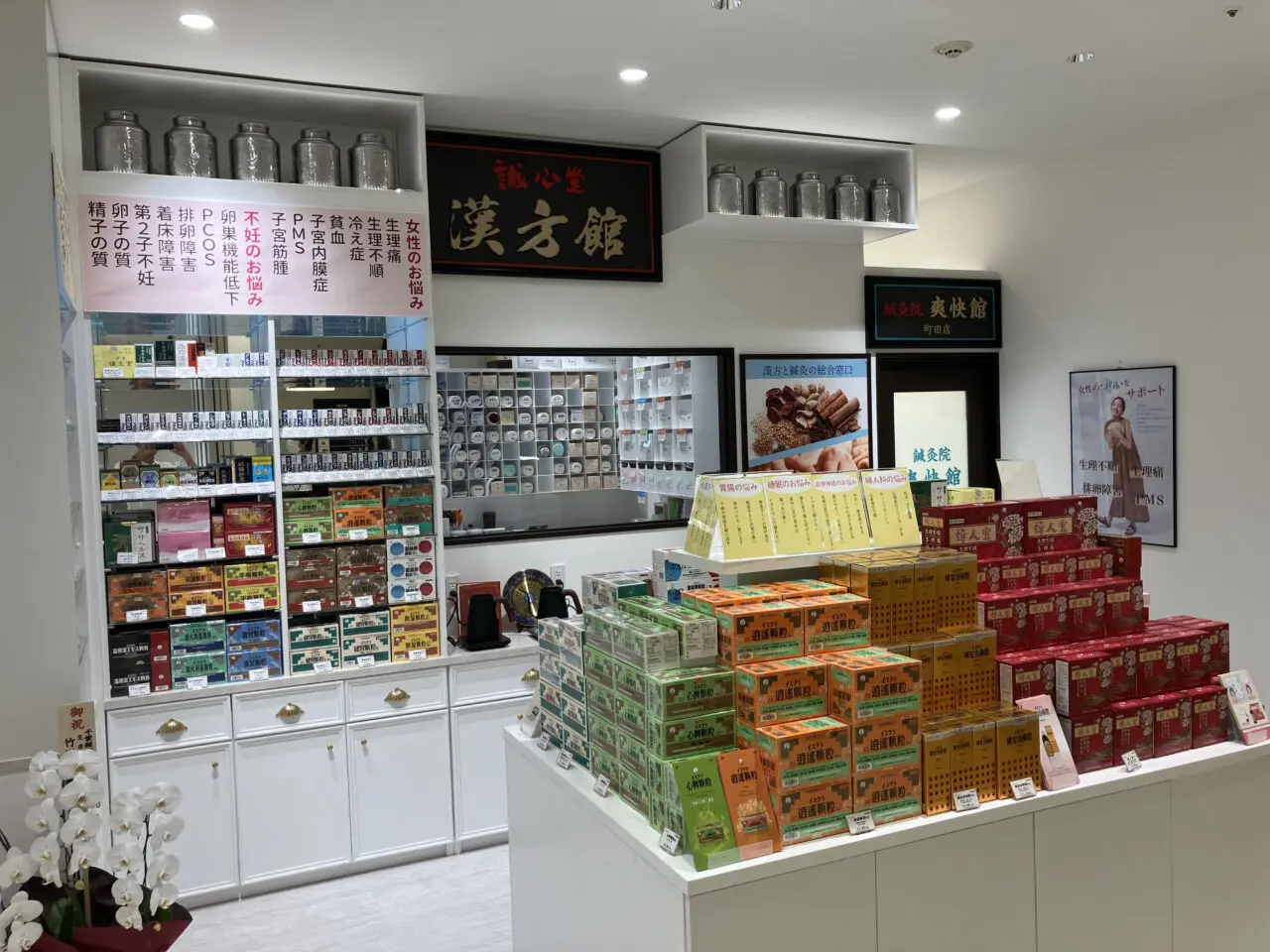 誠心堂漢方館町田店