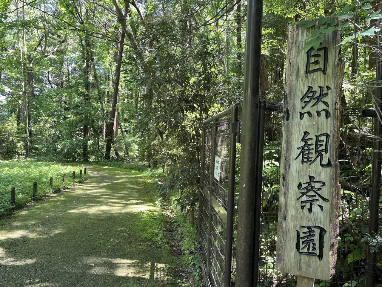 忠生公園　自然観察園