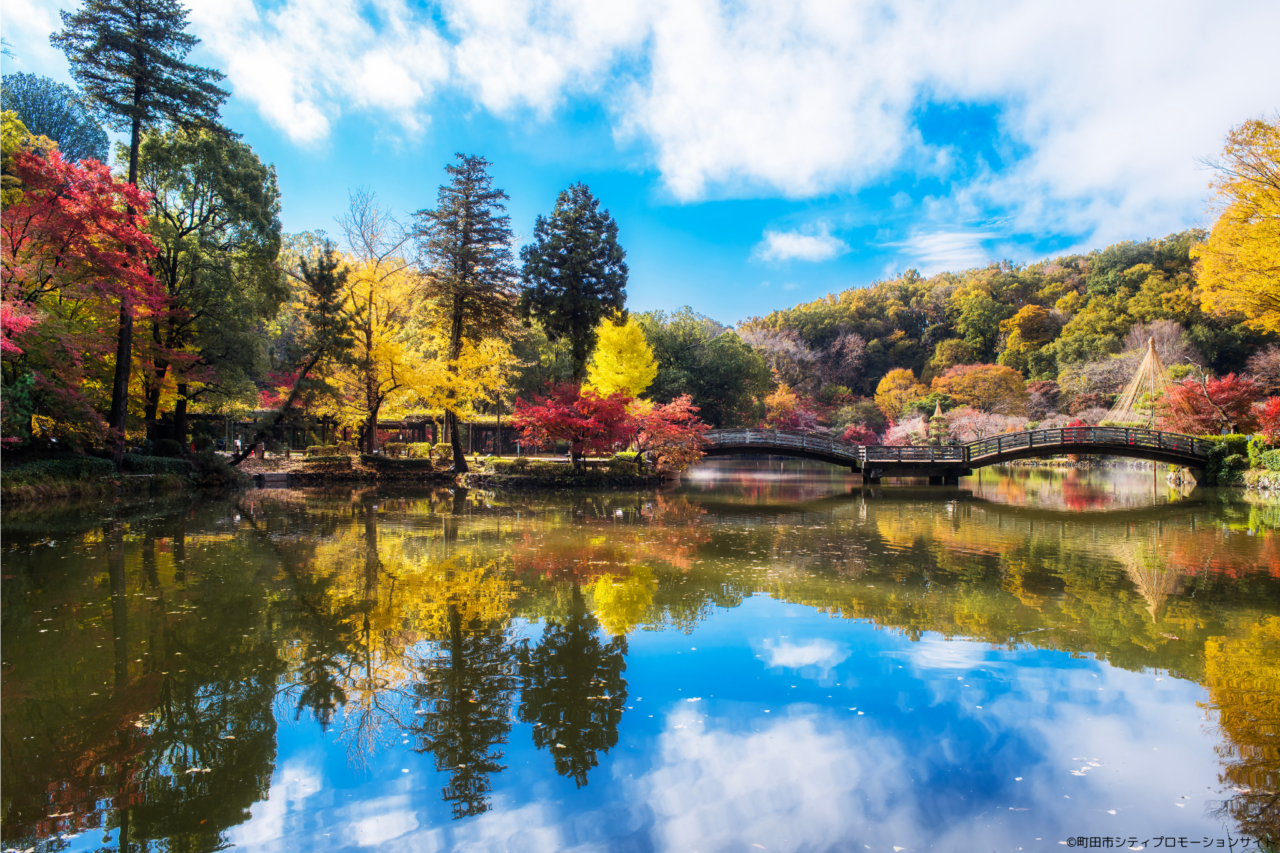 町田薬師池公園四季彩の杜　薬師池