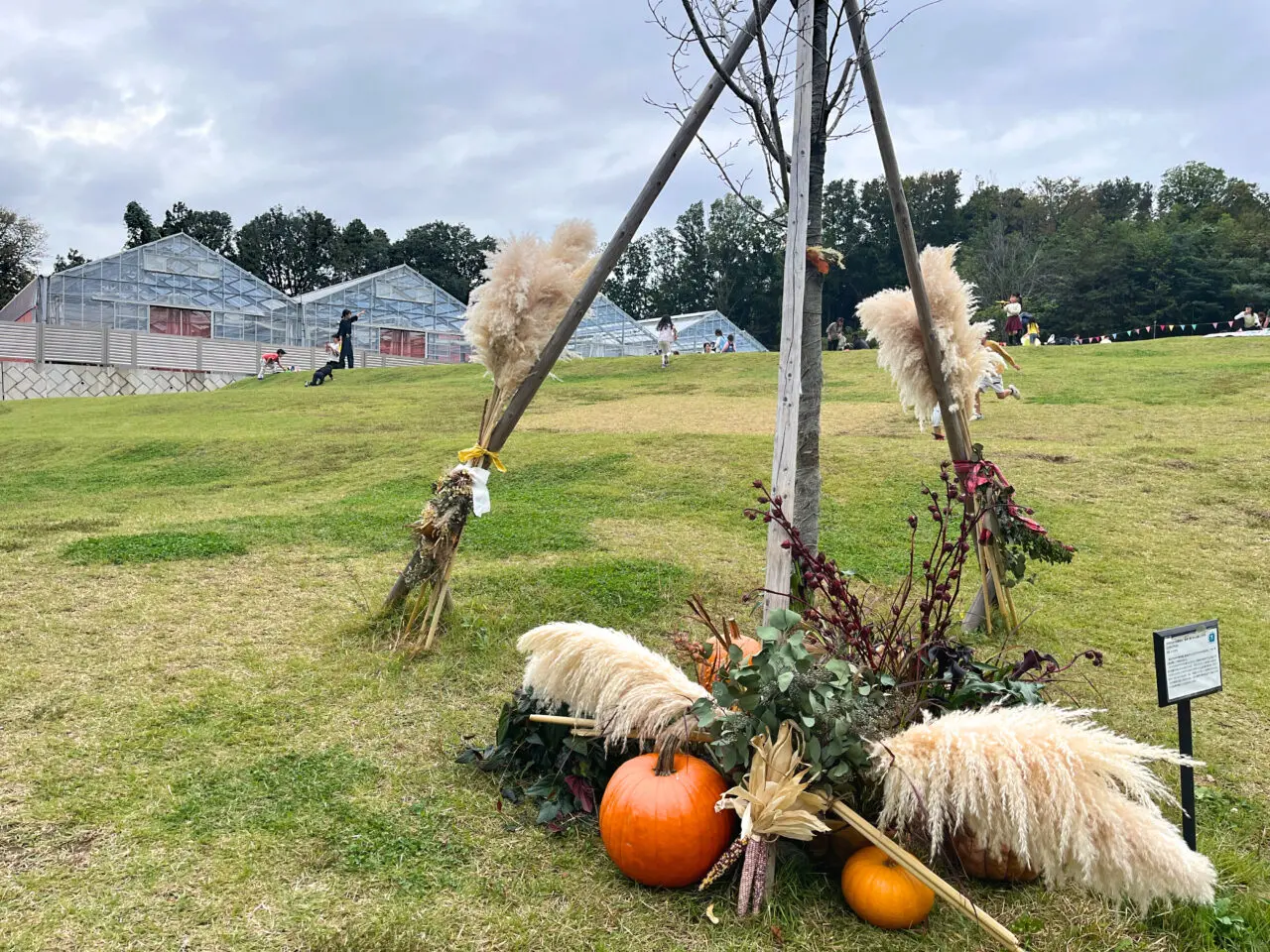 パークフェストやくし