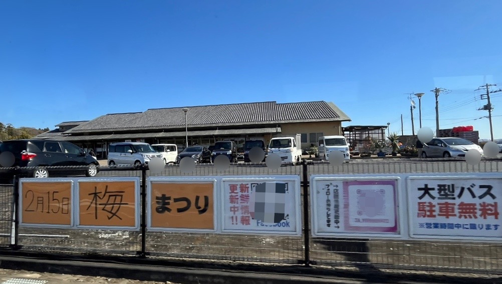 袖ケ浦市農畜産物直売所「ゆりの里」にて、2025年2月15日(土)に「梅まつり」が開催