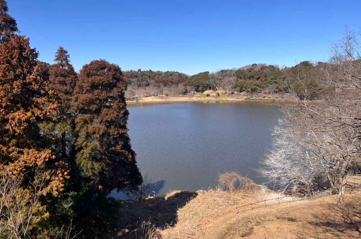 袖ケ浦公園　上池