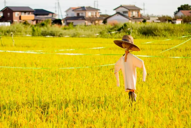 2025年みんなのふるさとフェスタ