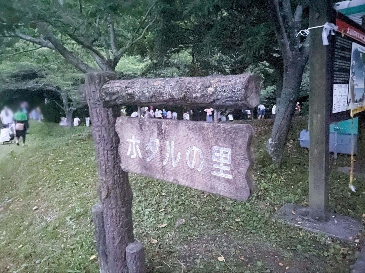 ホタルの里
