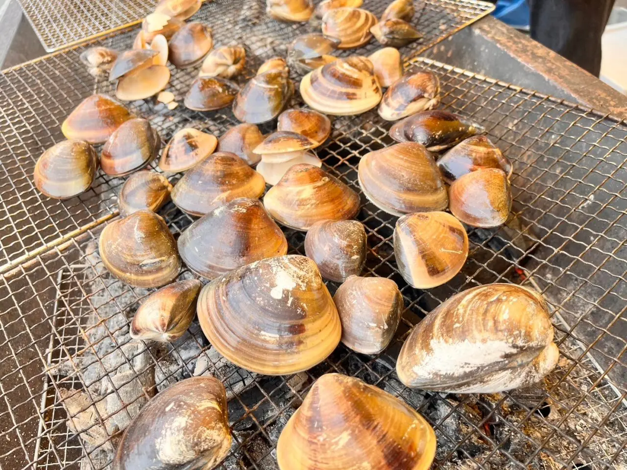 桑名はまぐり春祭り