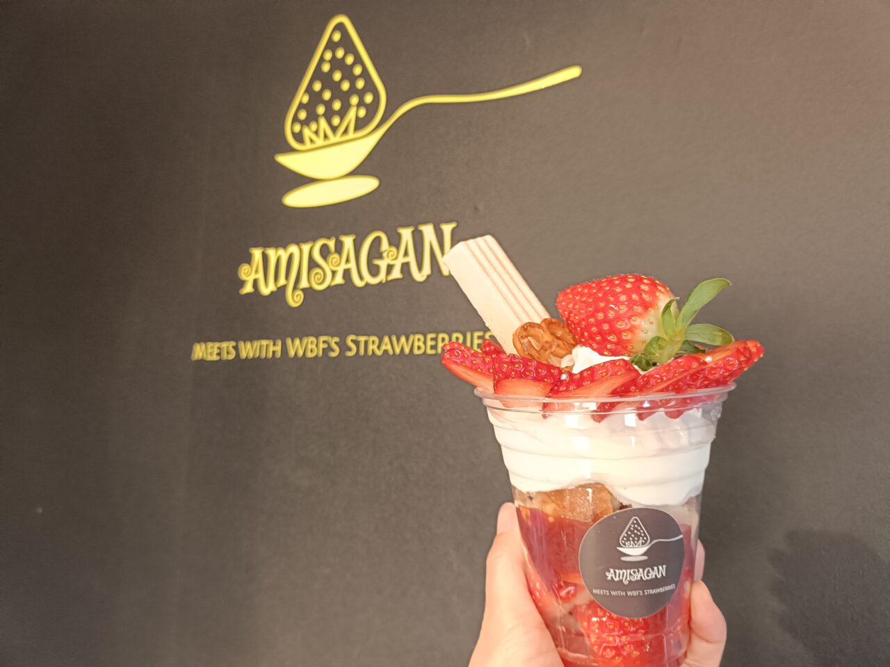 amisagan