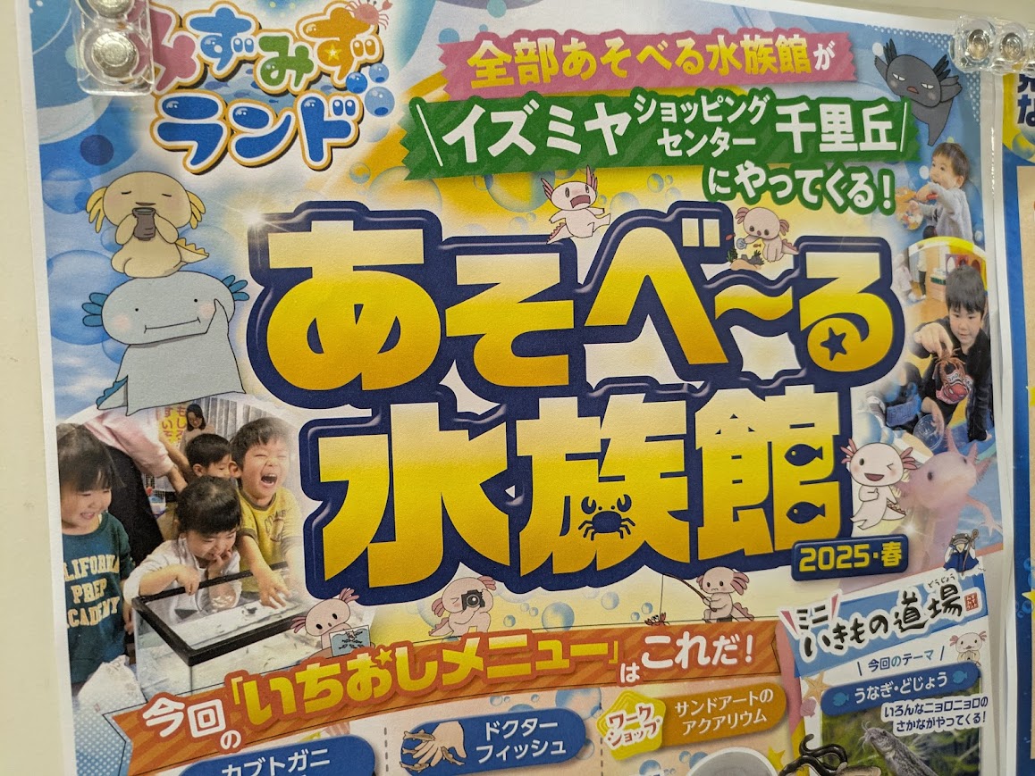 イズミヤ