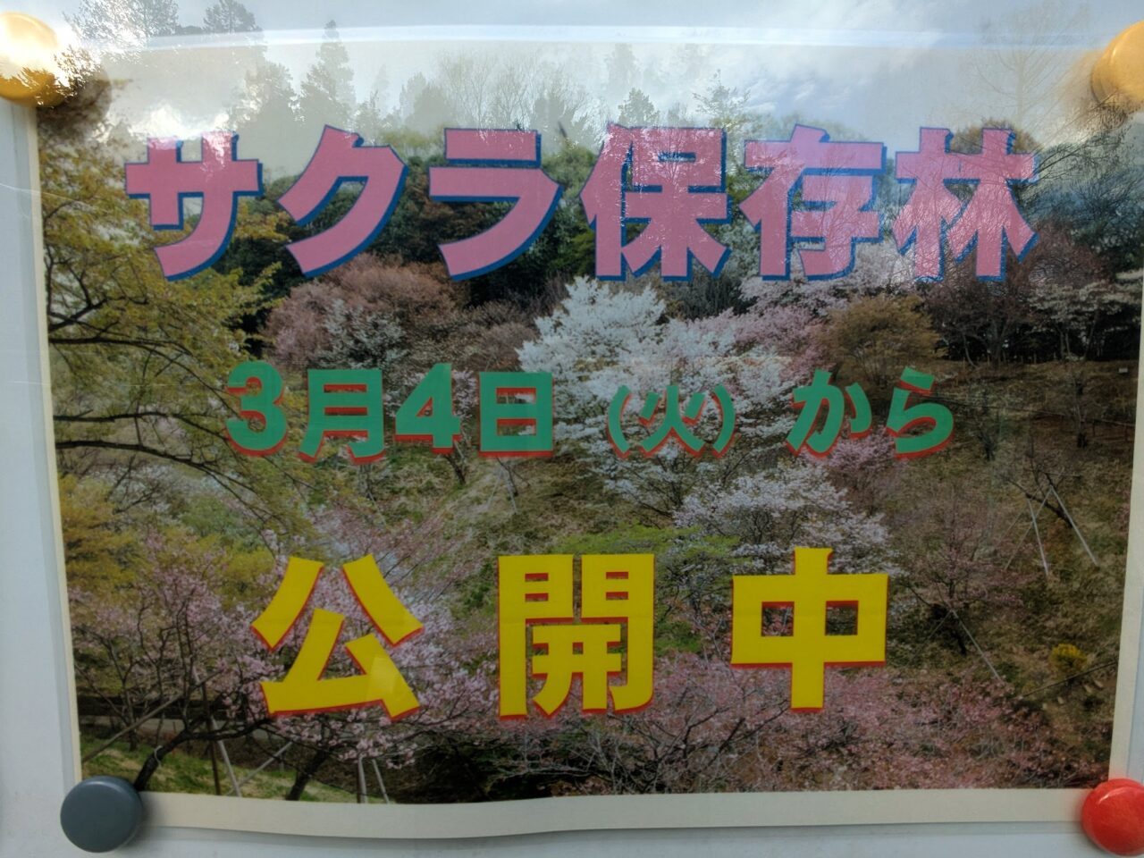 多摩森林科学園