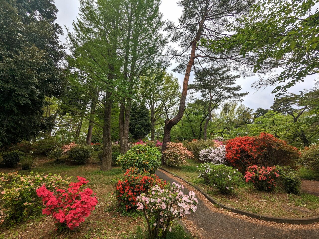 富士森公園