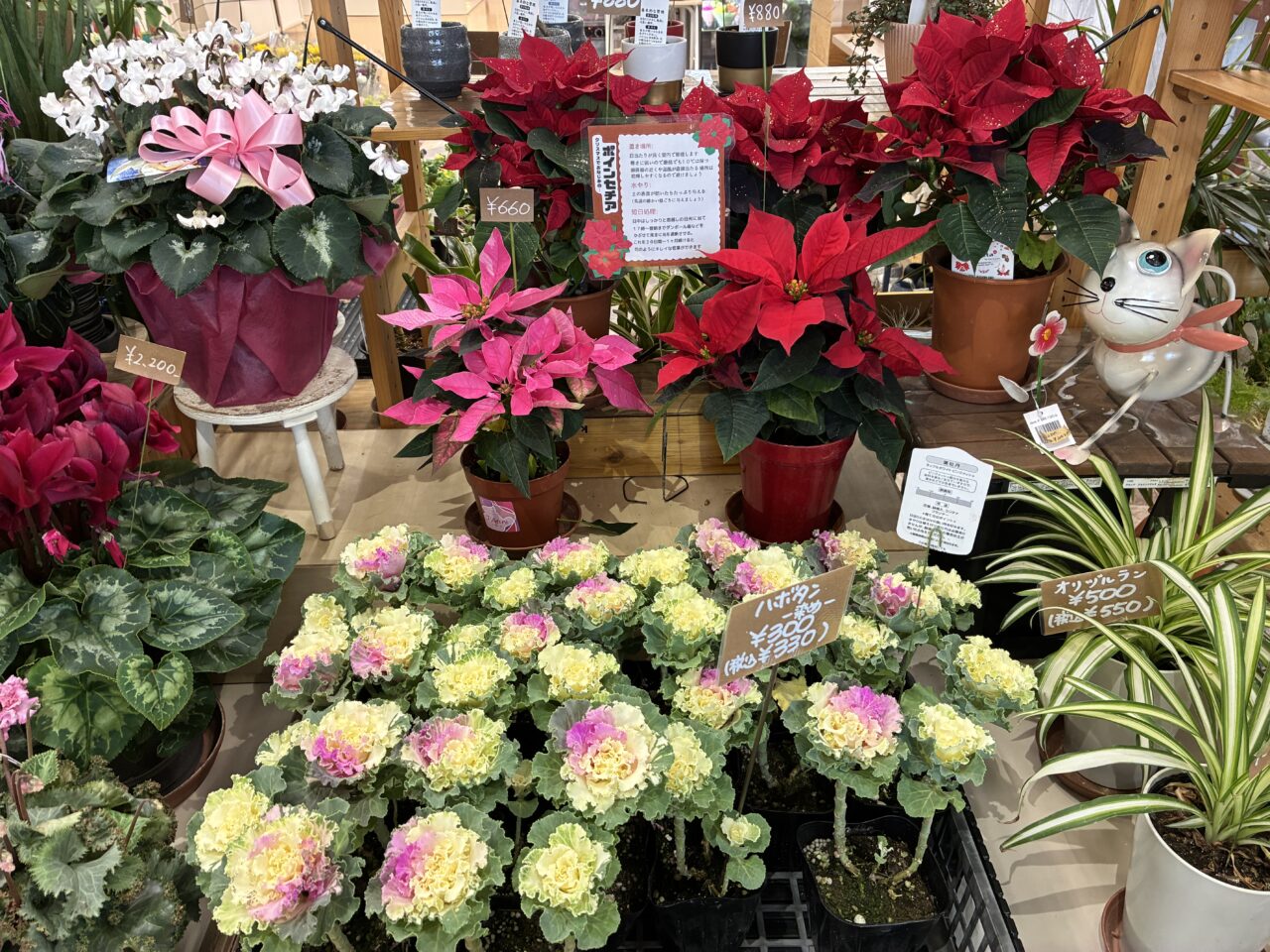 フローラルカネイ