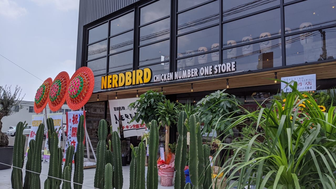 Nerdbird