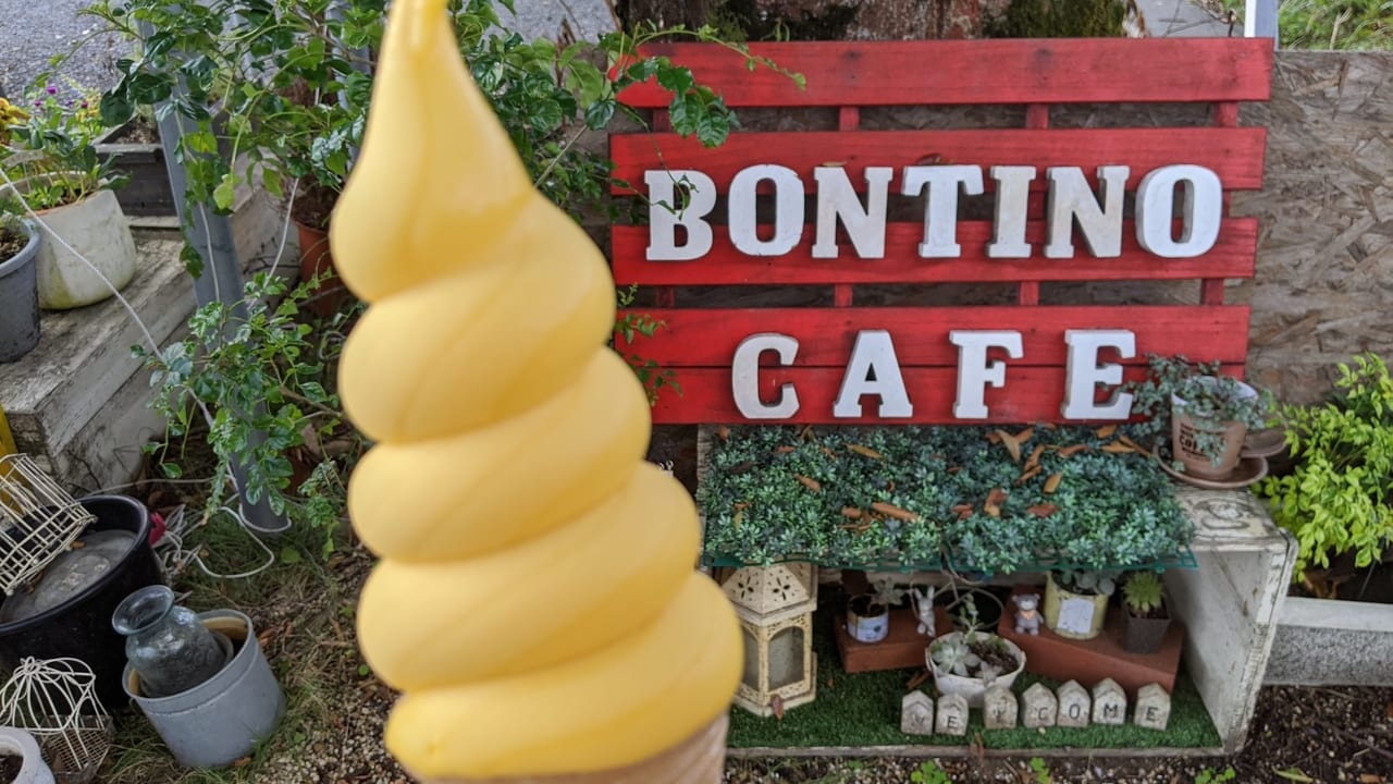Bonchino