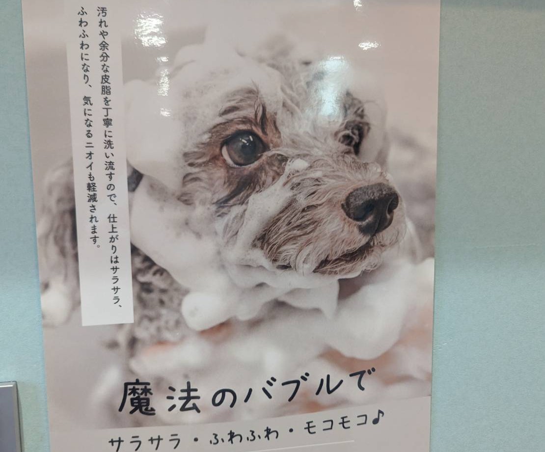 ポルポ　マイクロバブルバス