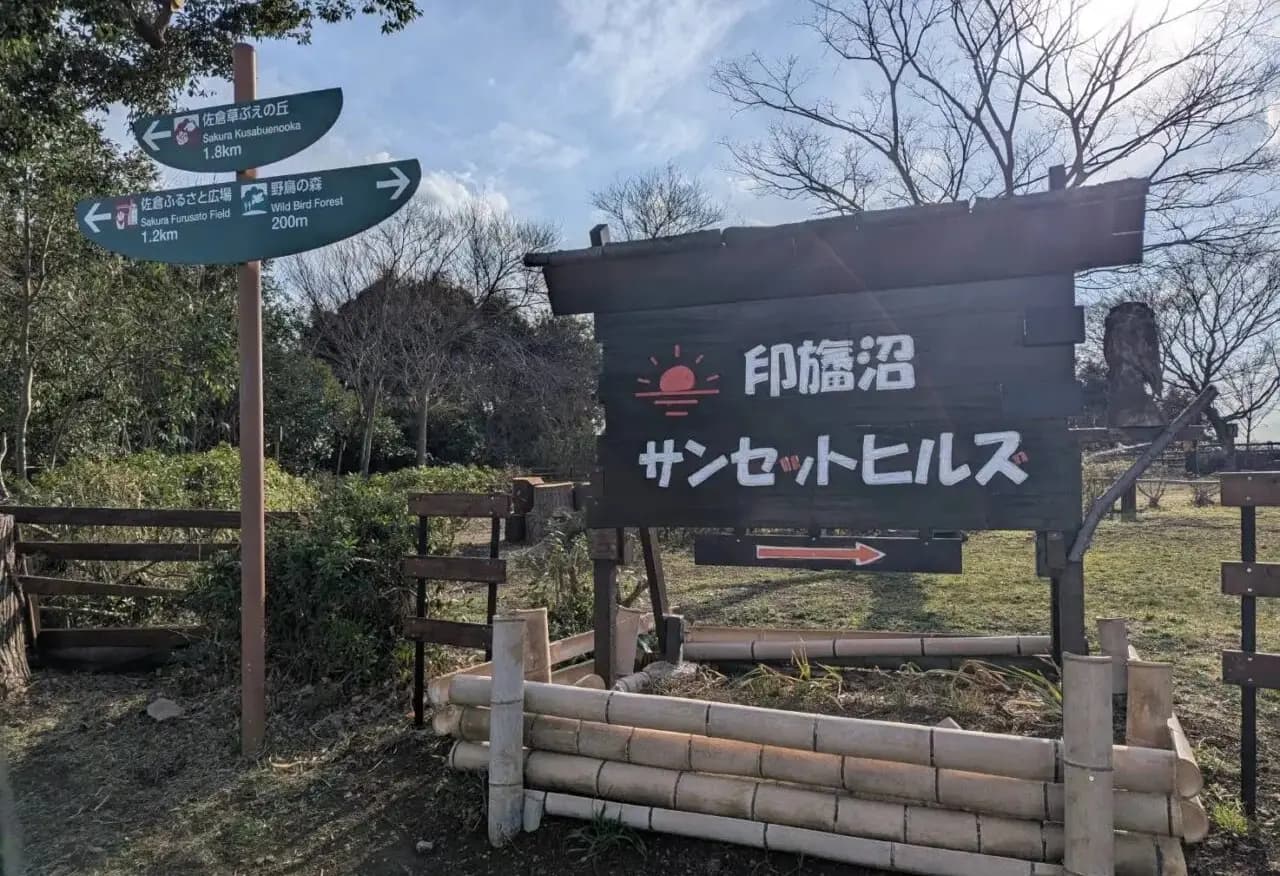ドアーズフェスティバル