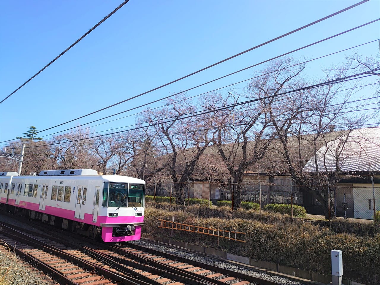 新京成１日乗車券_電車