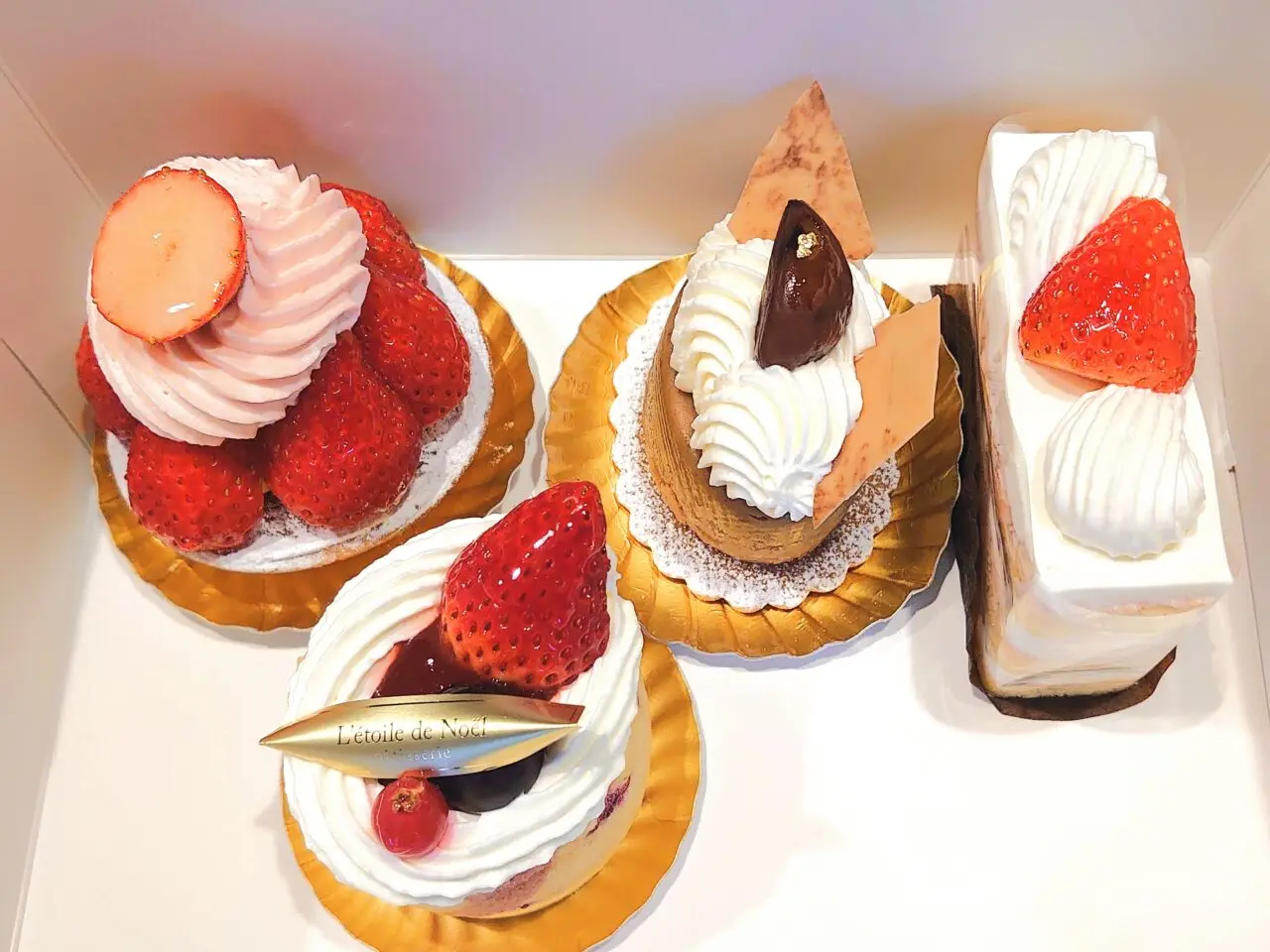 ノエル_ケーキ１
