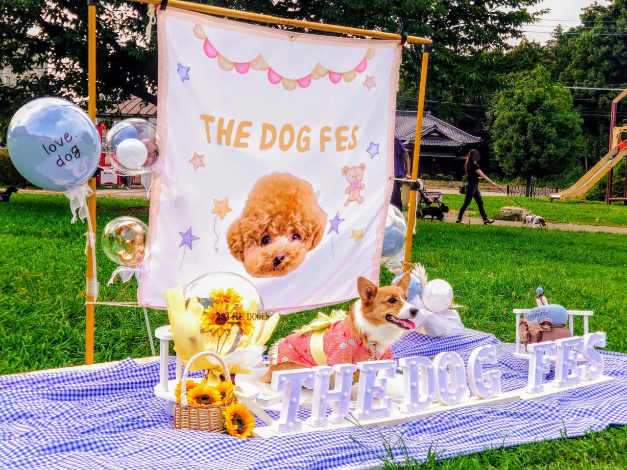 犬と夏祭り2025-2_会場6