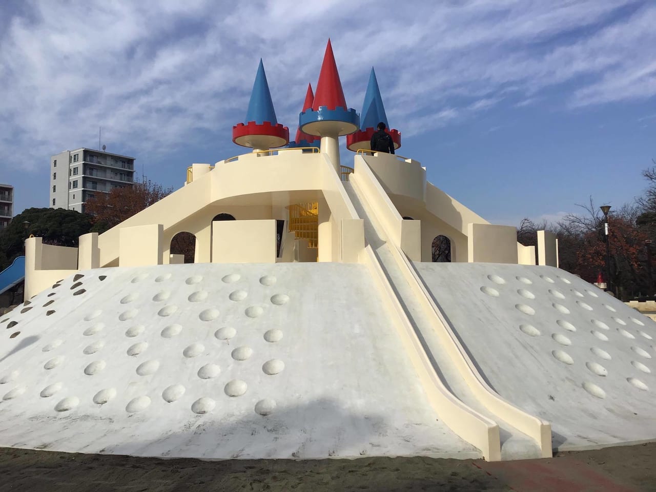 20201212oshirosiberidai02