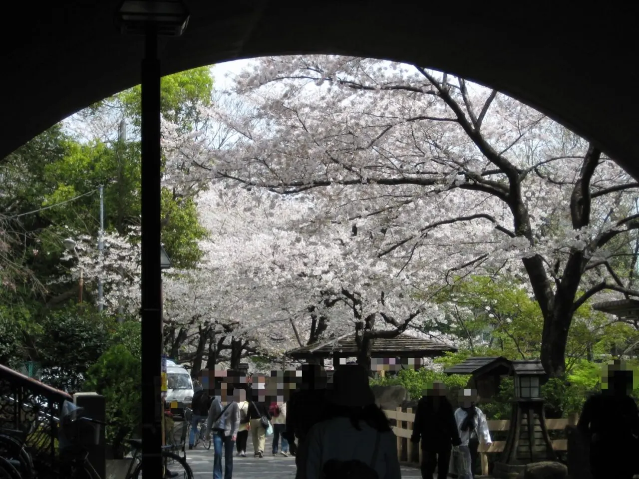 20250328_otonashi0321_00_20250330_otonashi_shinsui_sakura20070401