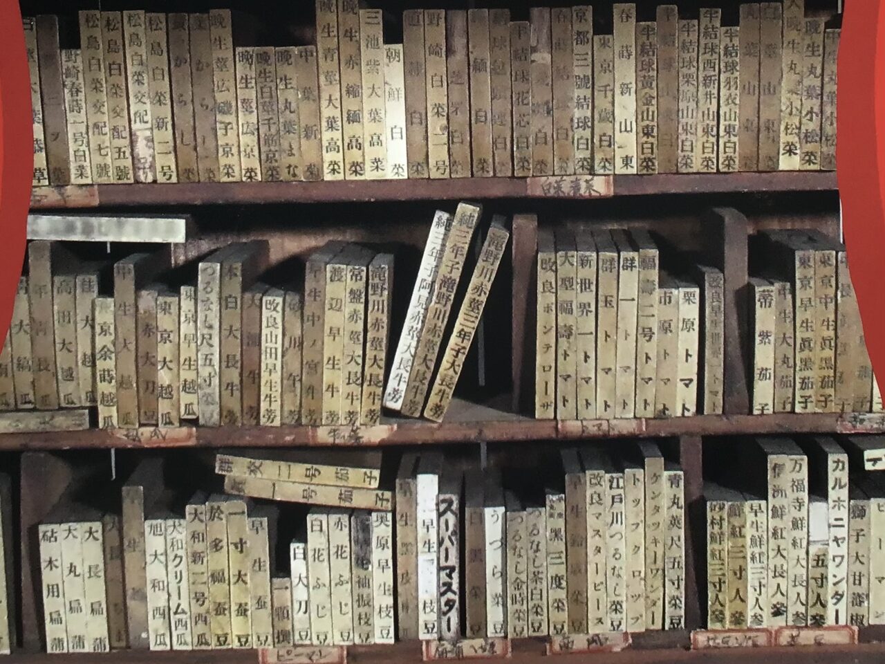 20251114_1112_04_taneyahanko04