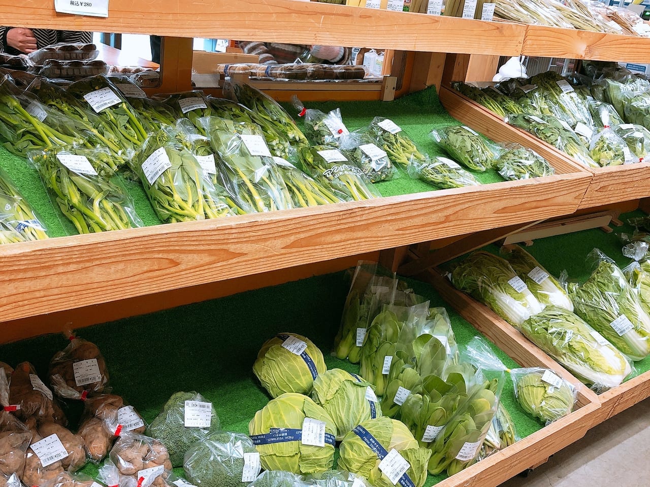 たわわ葉野菜