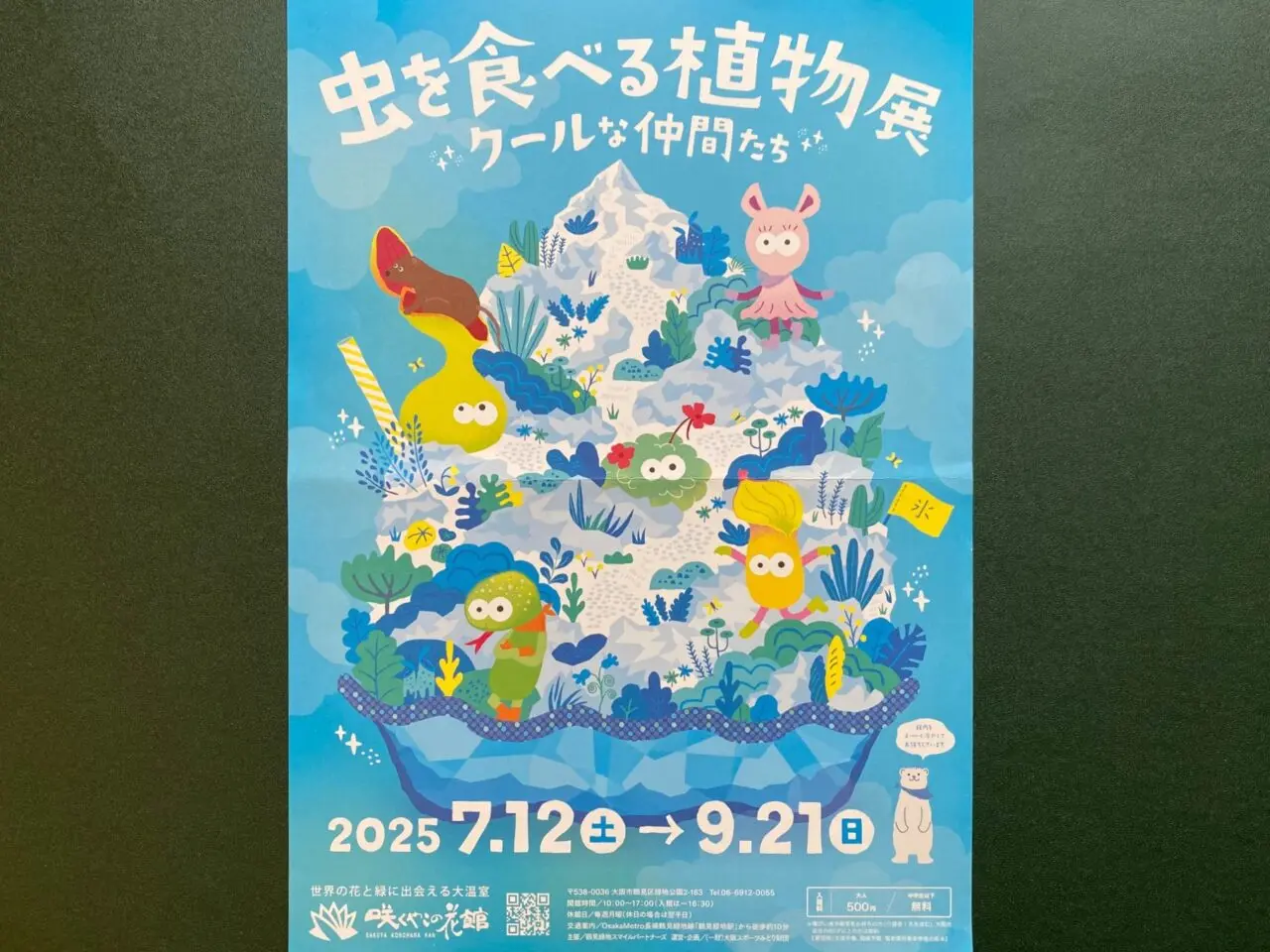 チラシ