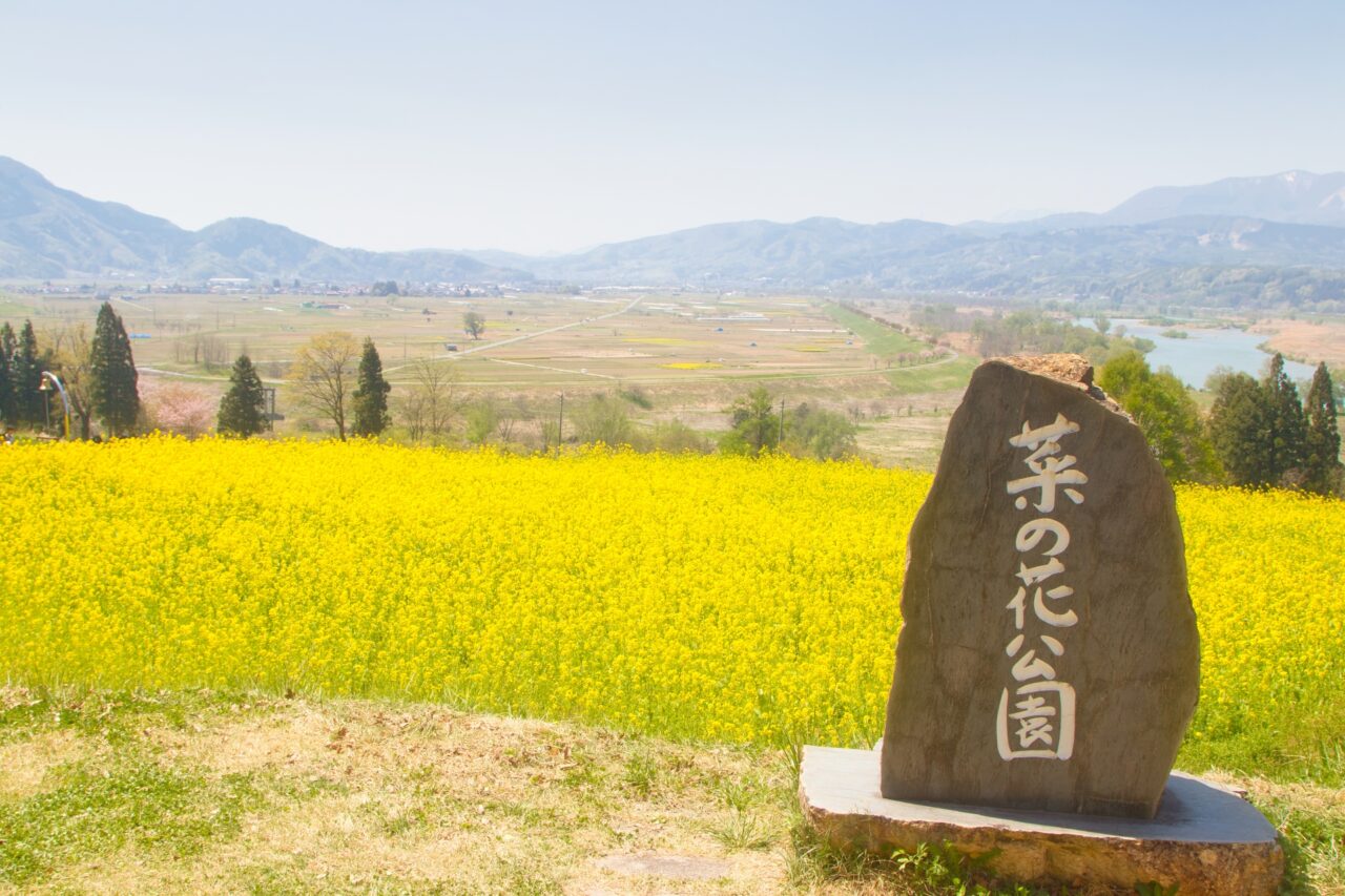 菜の花公園