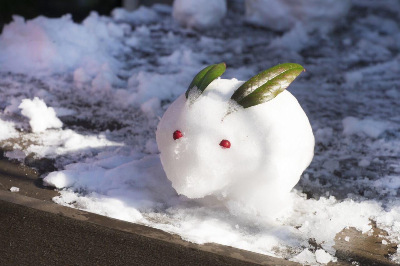 雪遊びイメージ