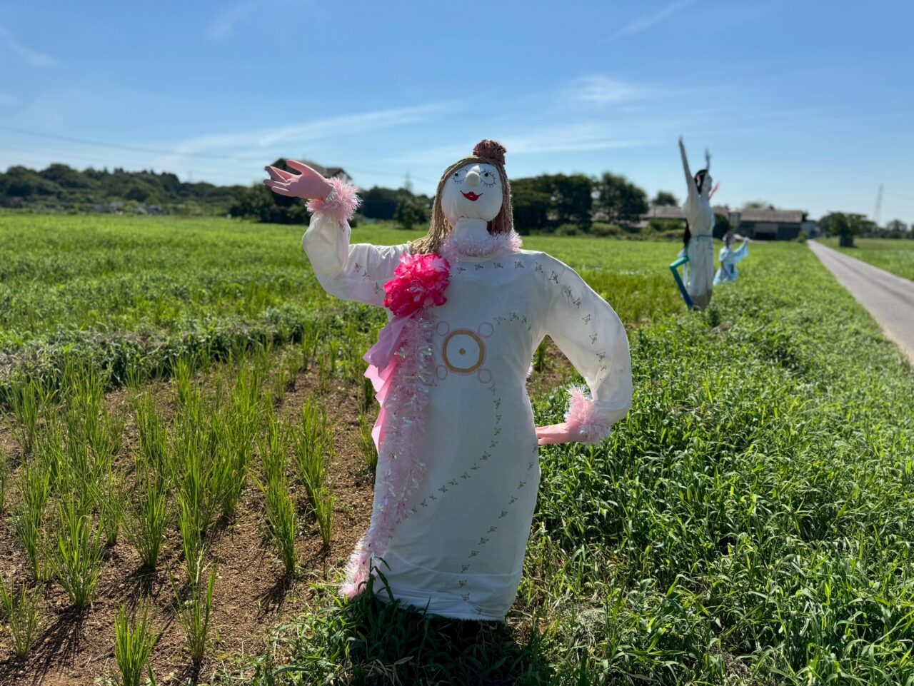 オロヴェリィ
