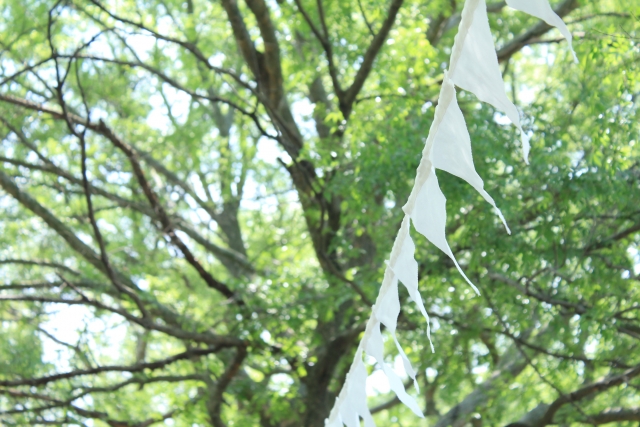 マルシェ　イメージ