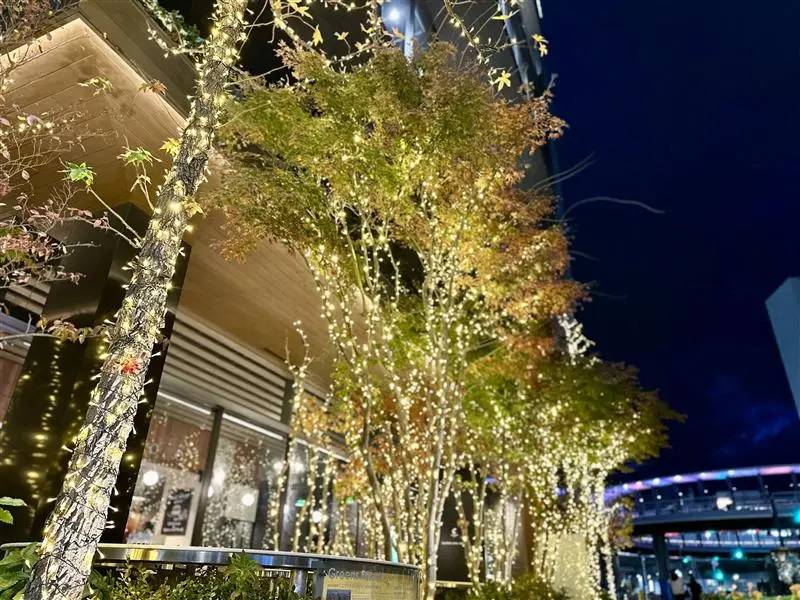 グリーンズ　イルミネーション