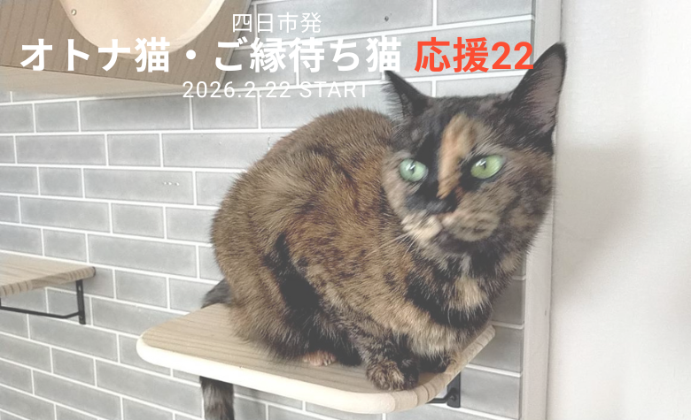 ゴロゴロ不動産