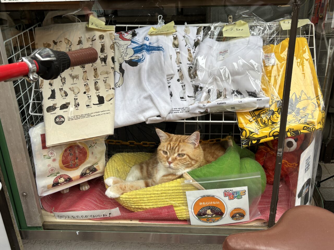 202506ふれあい譲渡会