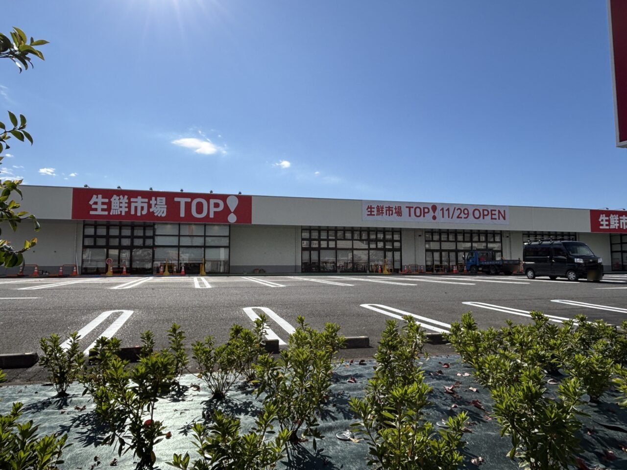 202511生鮮市場TOP　オープン
