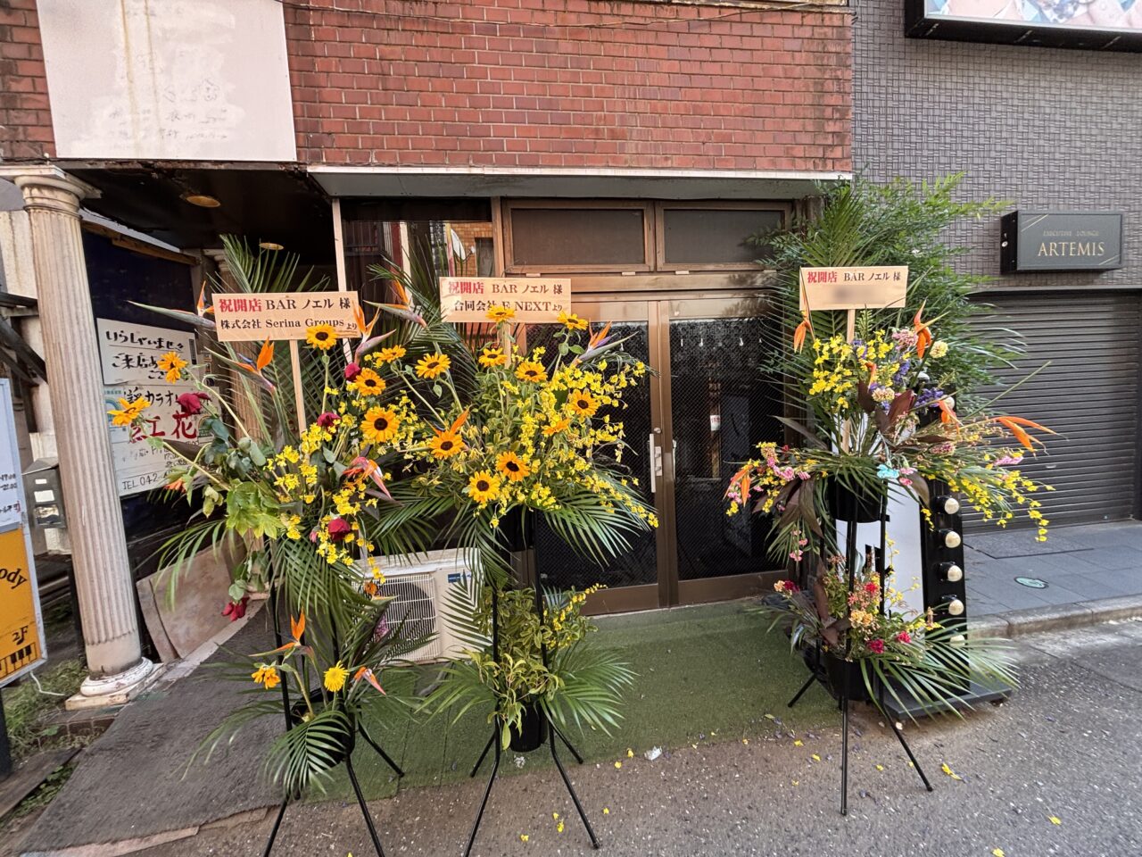 ノエル　オープン