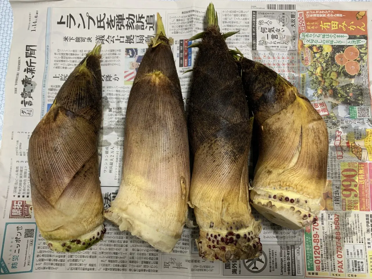 202604湧水たけのこ