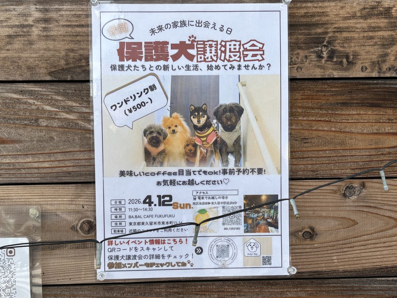 202604FUKUFUKU譲渡会