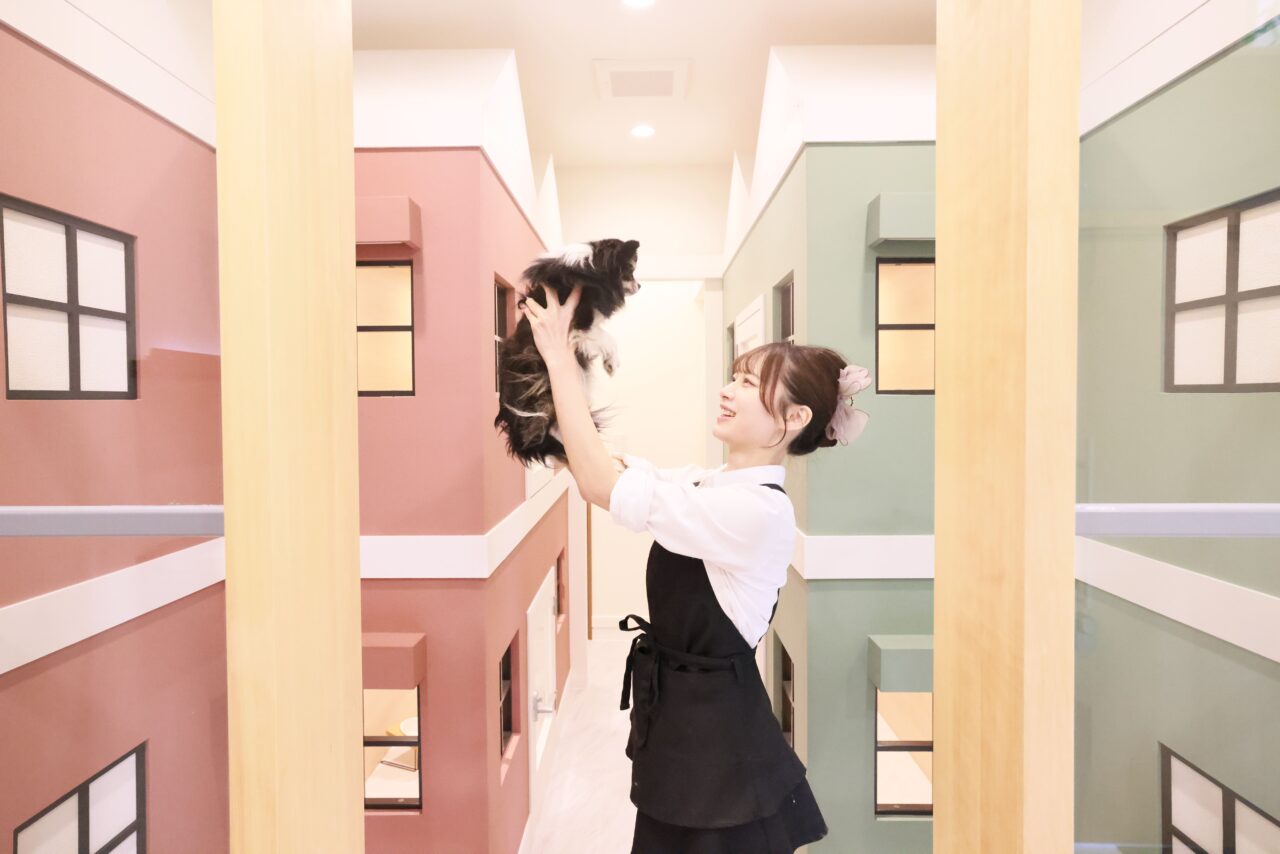 スキッピー　ペットホテル